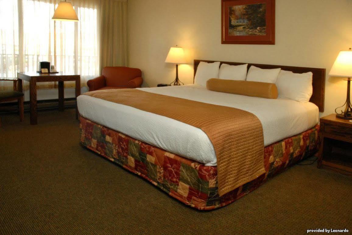 Best Western Paradise Inn Dillon Pokój zdjęcie